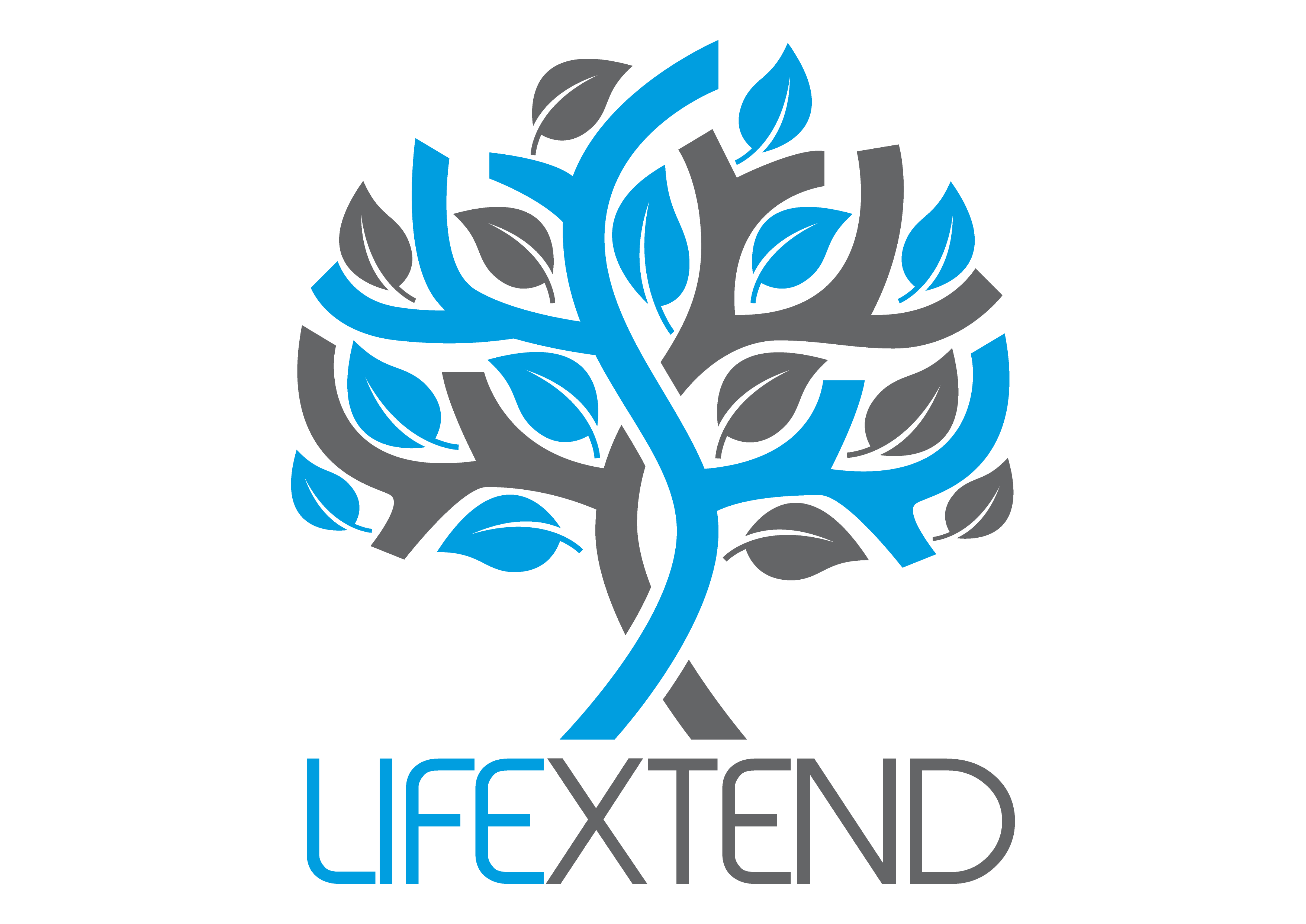 Logo de Lifextend en couleur sur fond blanc en 300 dpi